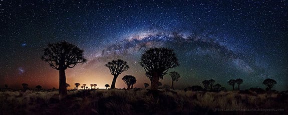 diversity-milky-way-night